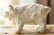 画像4: 浜坂尚子　手のり大きめ動物　白クマ