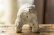 画像7: 浜坂尚子　手のり大きめ動物　白クマ