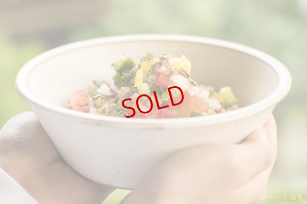 画像7: 長谷川哲也　鉢　２１ｃｍ　白【アソート作品】