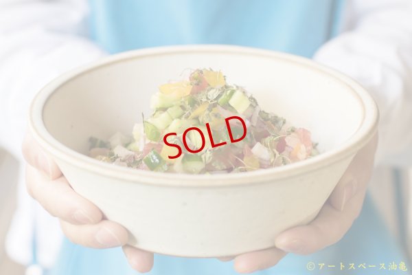 画像2: 長谷川哲也　鉢　２１ｃｍ　白【アソート作品】