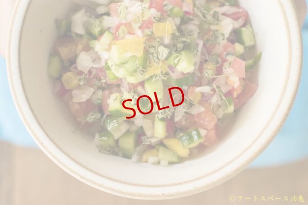 画像5: 長谷川哲也　鉢　２１ｃｍ　白【アソート作品】