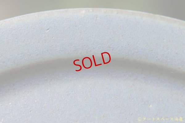 画像15: 長谷川哲也　洋皿　２４ｃｍ　青【アソート作品】