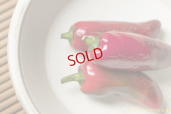 画像11: 長谷川哲也　鉢　２１ｃｍ　白【アソート作品】