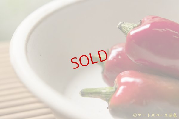 画像12: 長谷川哲也　鉢　２１ｃｍ　白【アソート作品】