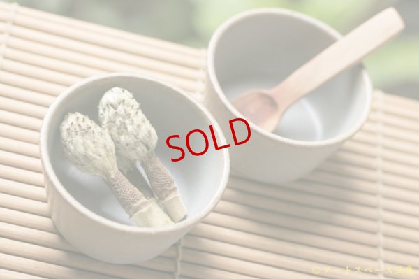 画像2: 長谷川哲也　ココット　灰【アソート作品】