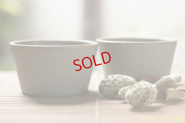 画像6: 長谷川哲也　ココット　灰【アソート作品】