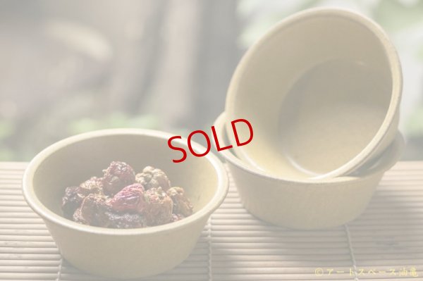 画像6: 長谷川哲也　鉢　１５ｃｍ　芥子【アソート作品】