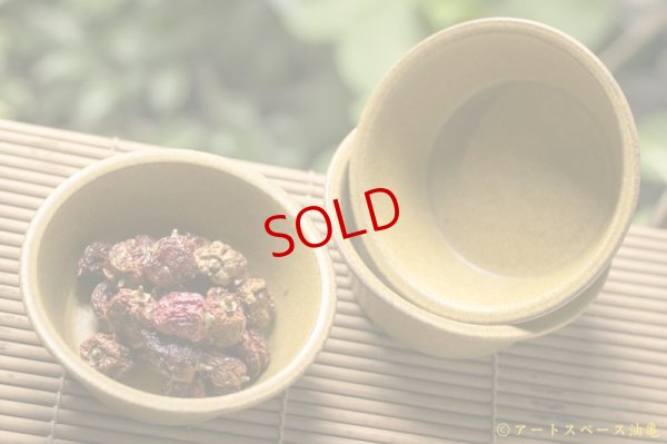 画像7: 長谷川哲也　鉢　１５ｃｍ　芥子【アソート作品】