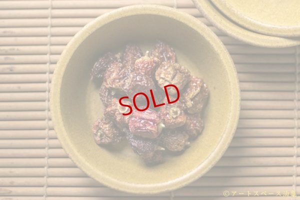 画像2: 長谷川哲也　鉢　１５ｃｍ　芥子【アソート作品】