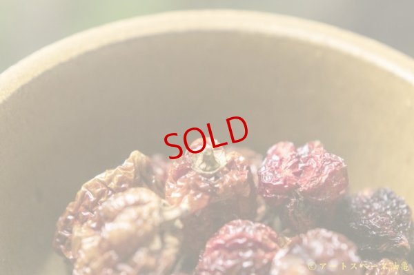 画像4: 長谷川哲也　鉢　１５ｃｍ　芥子【アソート作品】