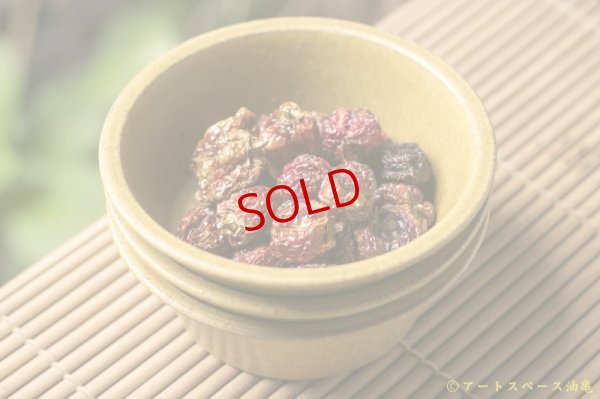 画像5: 長谷川哲也　鉢　１５ｃｍ　芥子【アソート作品】