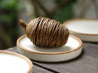 長谷川哲也　小皿　白【アソート作品】