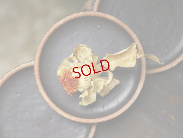 画像4: 長谷川哲也　小皿　黒【アソート作品】