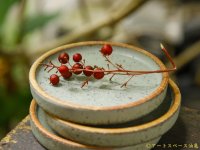 長谷川哲也　小皿　緑青【アソート作品】