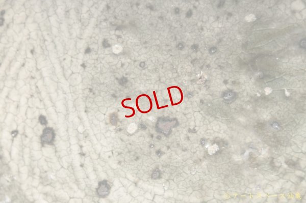 画像6: 八田亨　三島手６寸皿