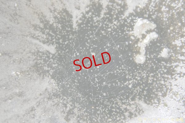 画像10: 八田亨　自然釉盛鉢