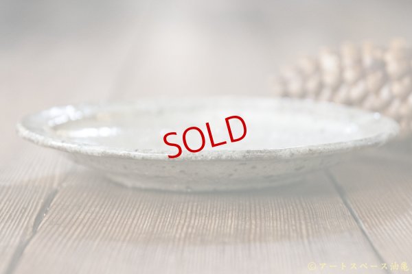 画像3: 八田亨　白掛　リム皿（SS）