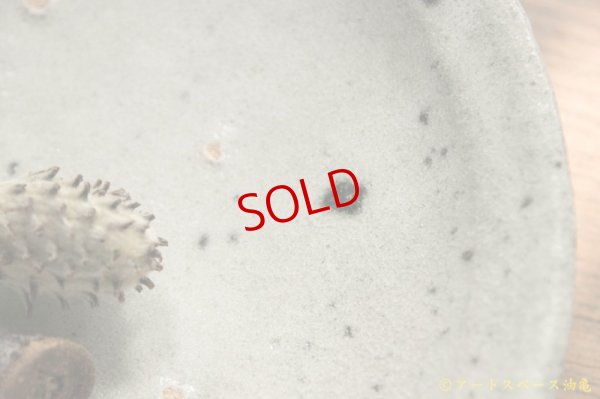 画像2: 八田亨　白掛リム皿