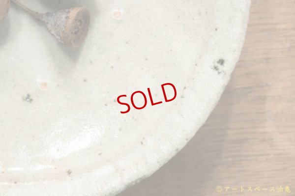 画像5: 八田亨　白掛リム皿