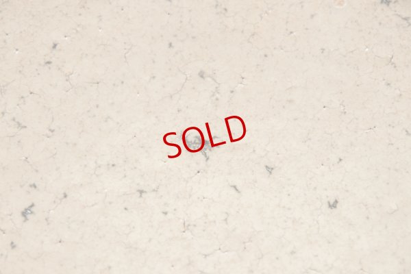 画像4: 八田亨　白掛リム皿　L