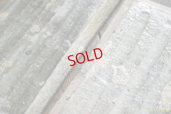 画像9: 八田亨　白掛  tile plate  長大