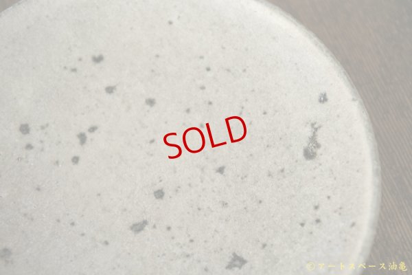 画像7: 八田亨　白掛　５寸皿