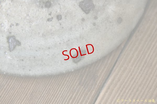 画像12: 八田亨　白掛　５寸皿