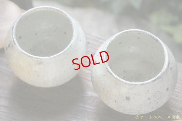 画像4: 八田亨　白掛　塩壺　大