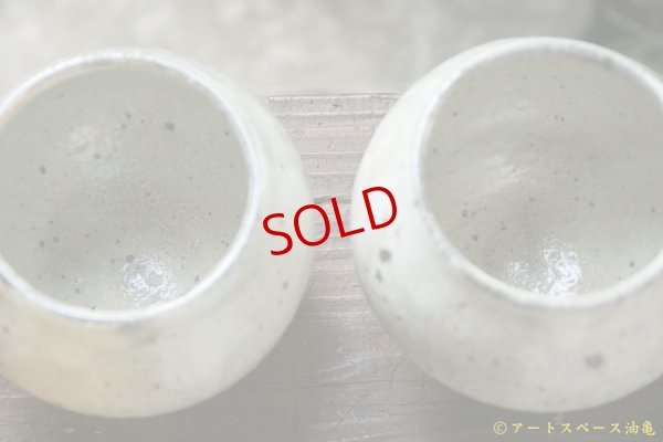 画像7: 八田亨　白掛　塩壺　大