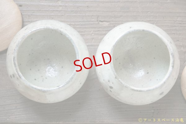 画像6: 八田亨　白掛　塩壺　大