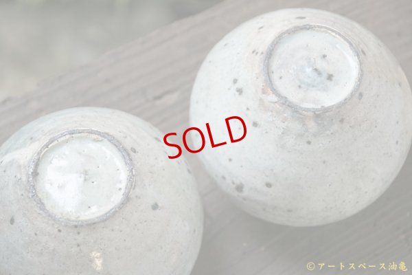 画像9: 八田亨　白掛　塩壺　大