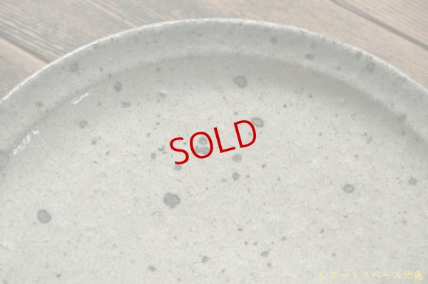 画像5: 八田亨　白掛　リム皿 (L)