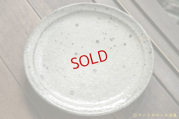 画像2: 八田亨　白掛　リム皿 (L)