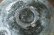 画像7: 八田亨　松井農園　マスカットオブアレキサンドリア灰　５寸輪花鉢
