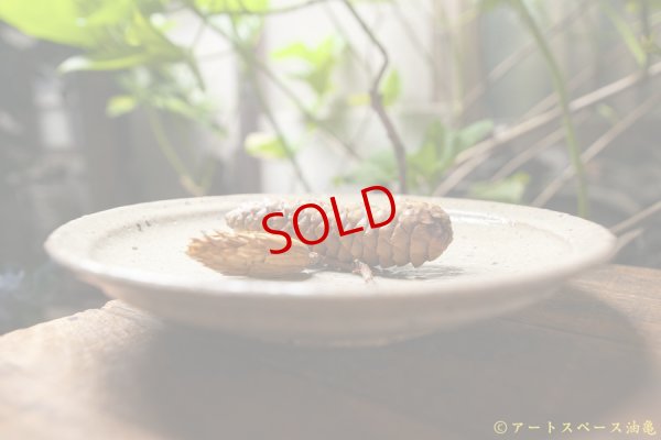 画像3: 八田亨　ブドウ灰リム皿（Ｌ）