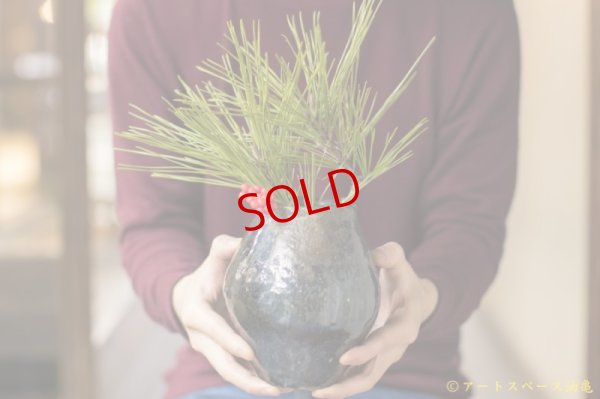 画像3: 八田亨　黒釉窯変　壺