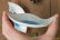 画像2: 間美恵　亜鉛華結晶　豆皿　さかな (2)