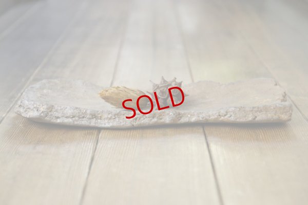 画像2: 細川敬弘　備前　陶片長方皿