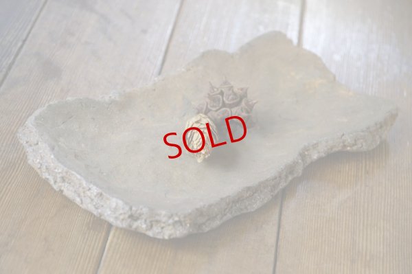 画像4: 細川敬弘　備前　陶片長方皿