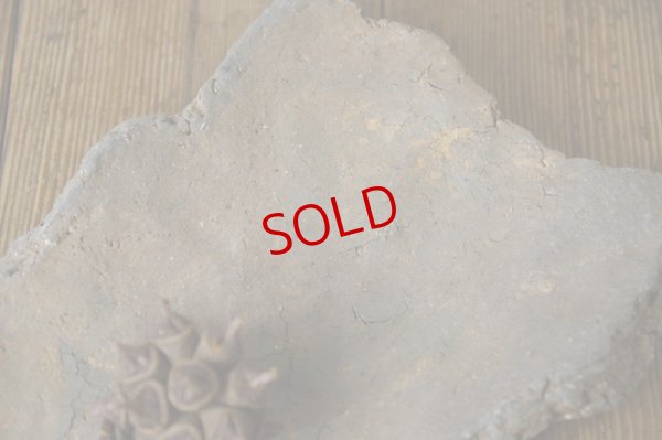 画像5: 細川敬弘　備前　陶片長方皿