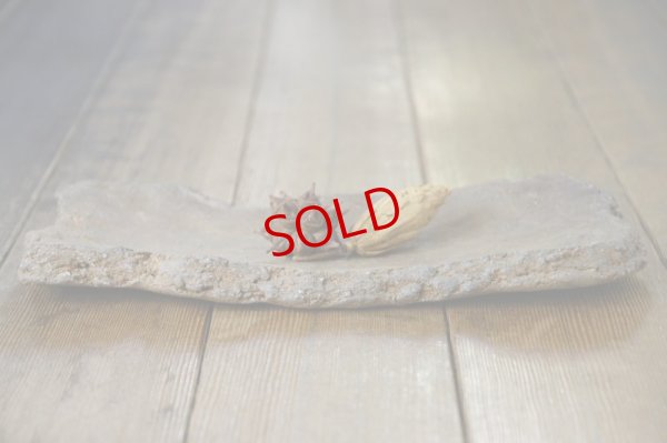 画像6: 細川敬弘　備前　陶片長方皿