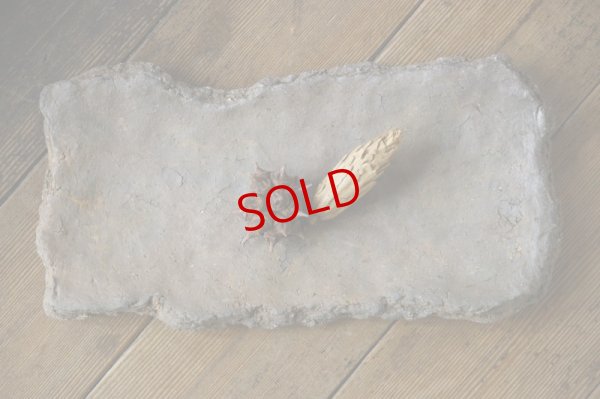 画像1: 細川敬弘　備前　陶片長方皿