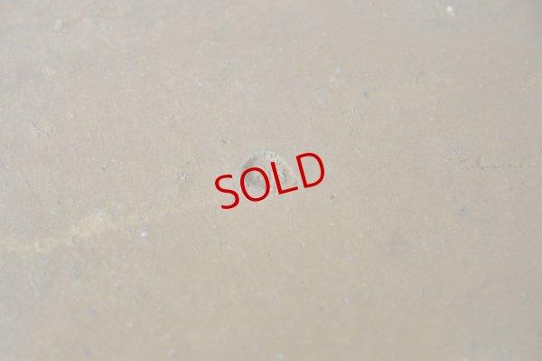 画像15: 細川敬弘　備前　陶片長方皿