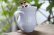 画像2: 石田誠　ピッチャー（中）
