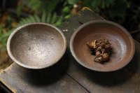 加地学　鉢　
