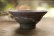 画像2: 加地学　マスカットオブアレキサンドリア灰　鉢