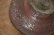 画像8: 加地学　マスカットオブアレキサンドリア灰　鉢