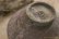 画像11: 加地学　マスカットオブアレキサンドリア灰　鉢