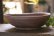 画像2: 加地学　南蛮　鉢