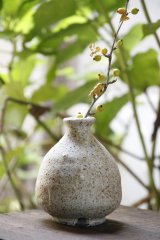 加地学　【石炭窯】花生